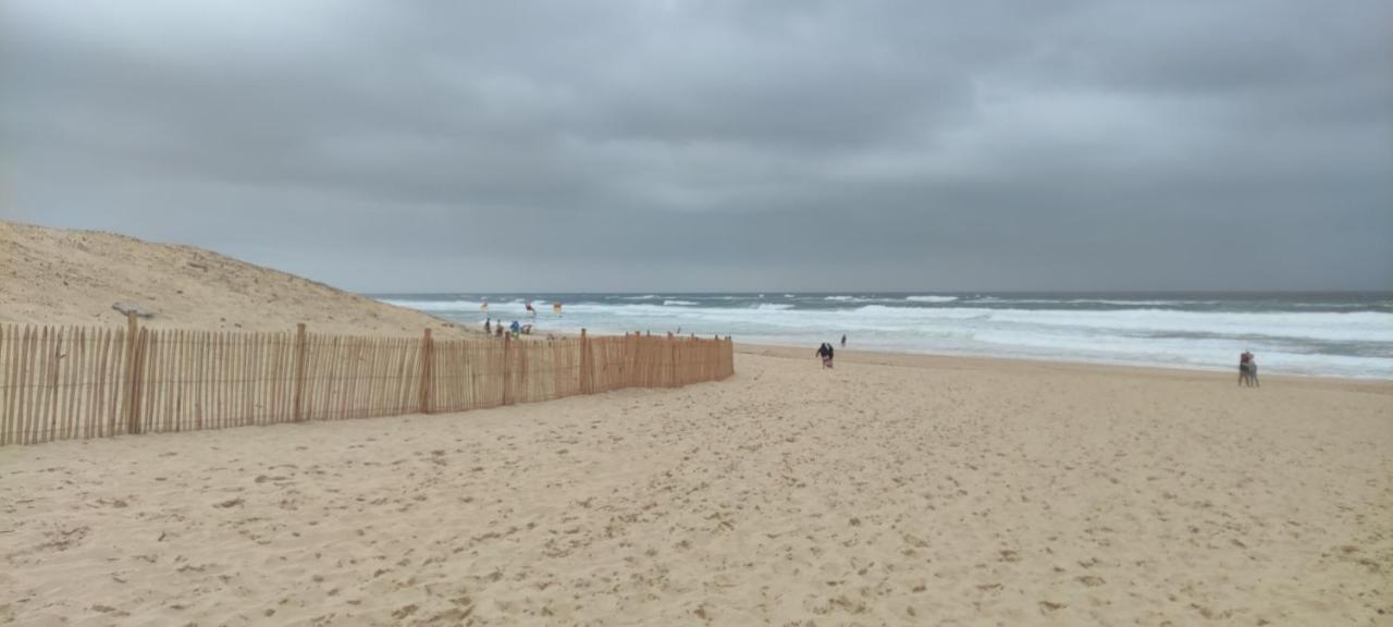 Evasion Cotiere Tranquillite Entre Foret Et Ocean 旧圣日龙 外观 照片