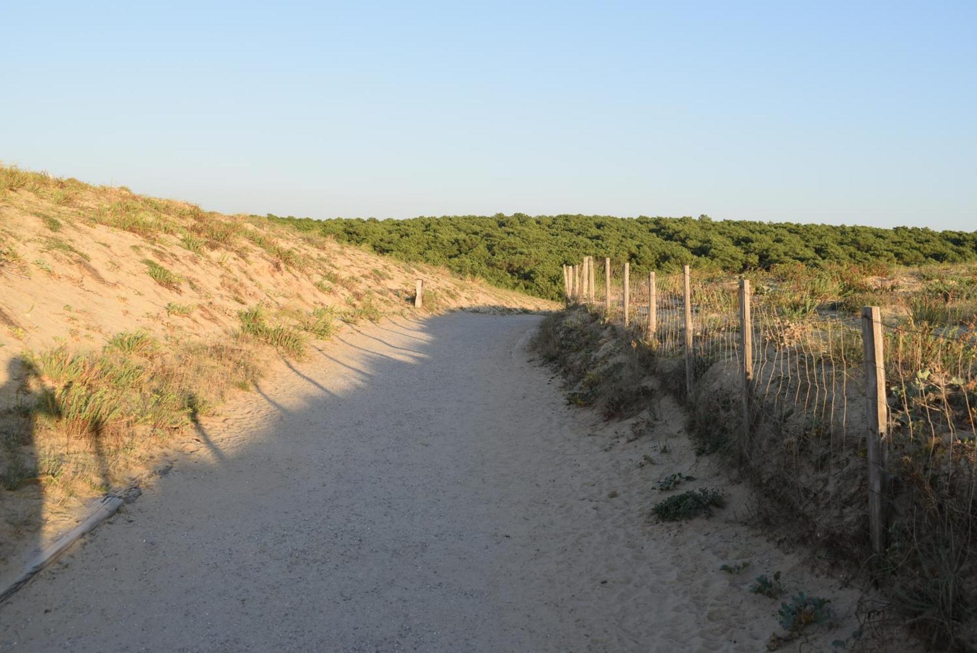 Evasion Cotiere Tranquillite Entre Foret Et Ocean 旧圣日龙 外观 照片