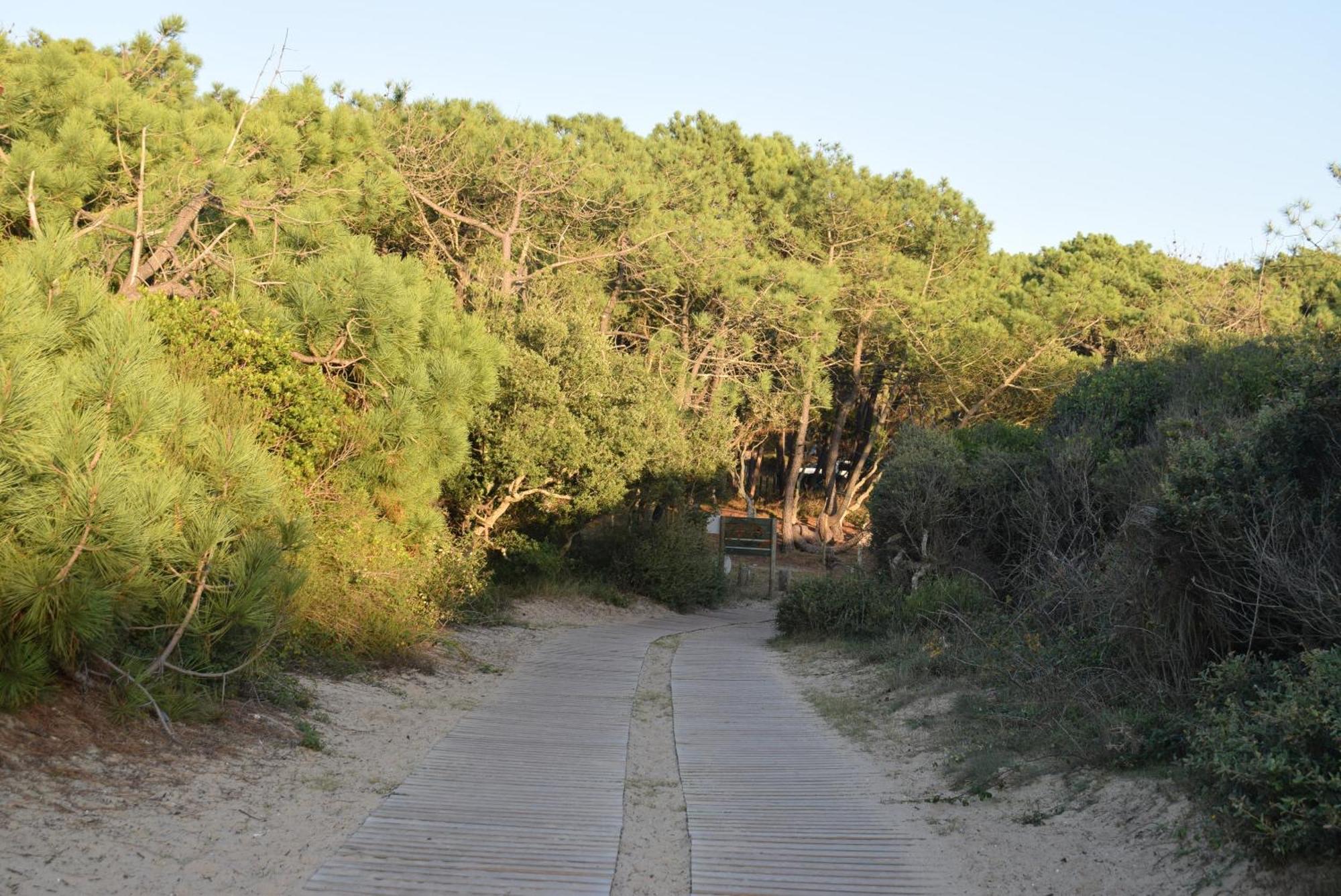 Evasion Cotiere Tranquillite Entre Foret Et Ocean 旧圣日龙 外观 照片