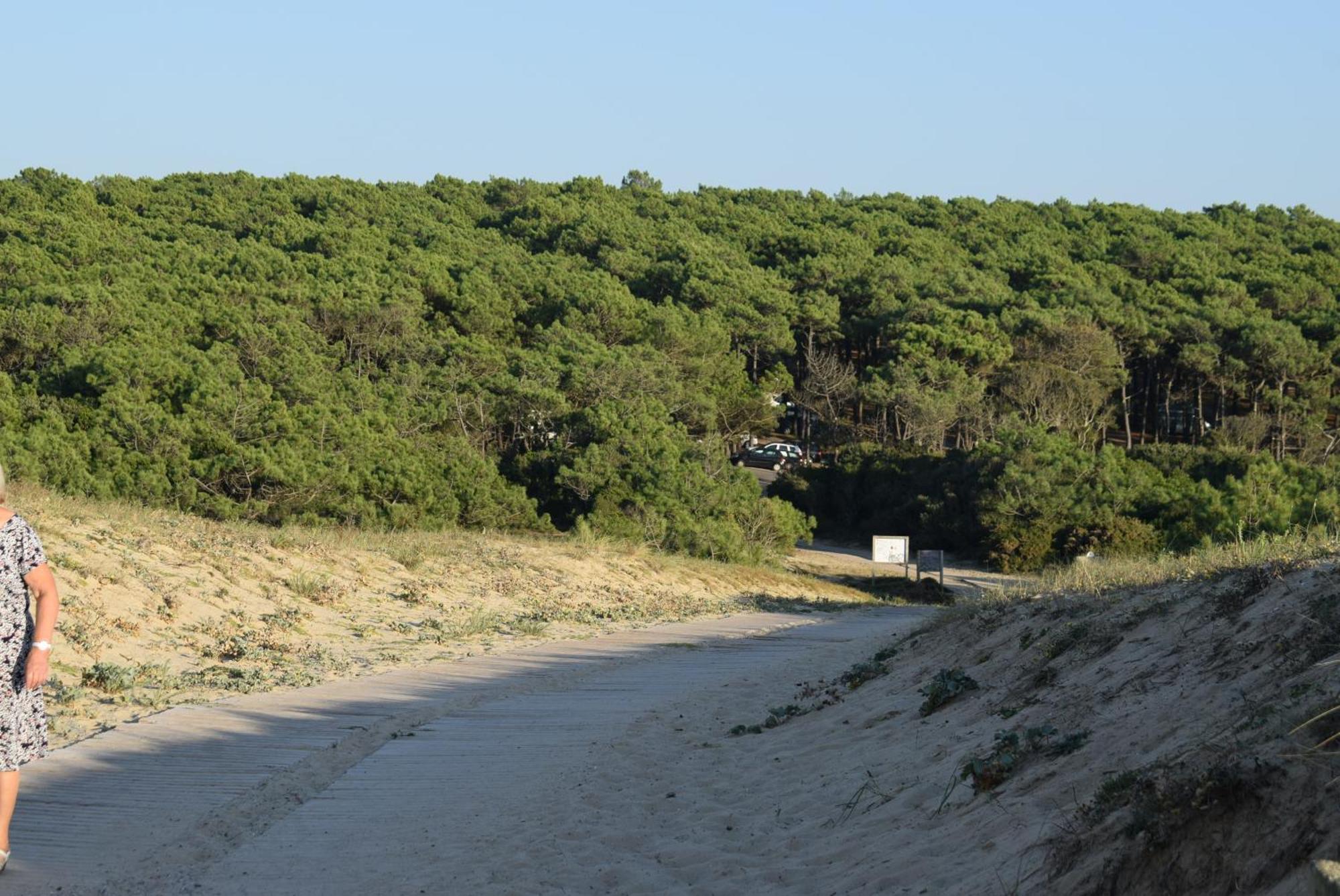 Evasion Cotiere Tranquillite Entre Foret Et Ocean 旧圣日龙 外观 照片